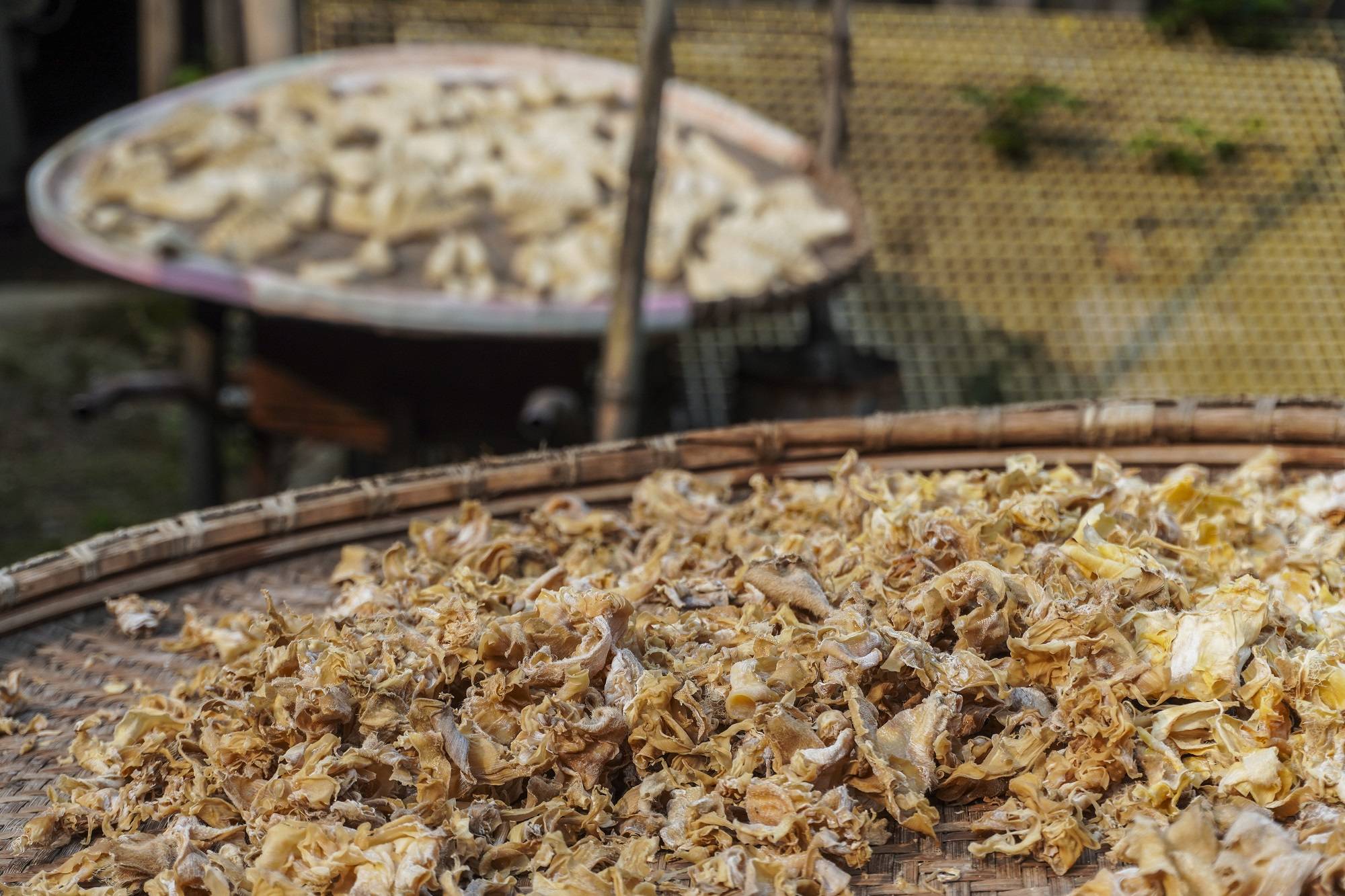 安徽深山中有座冷门古村,被誉为“梦乡村”,宛如世外桃源4