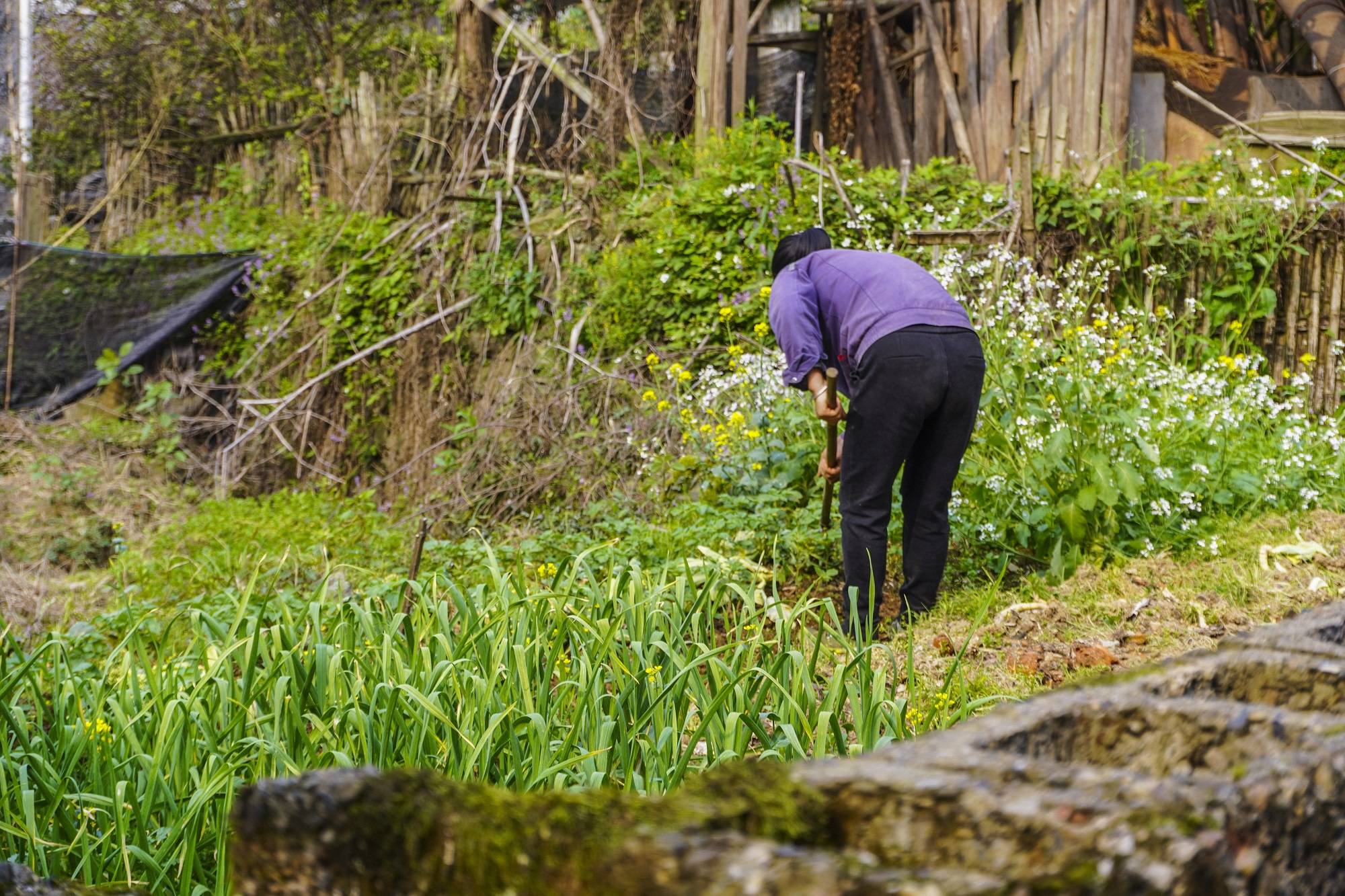安徽深山中有座冷门古村,被誉为“梦乡村”,宛如世外桃源5