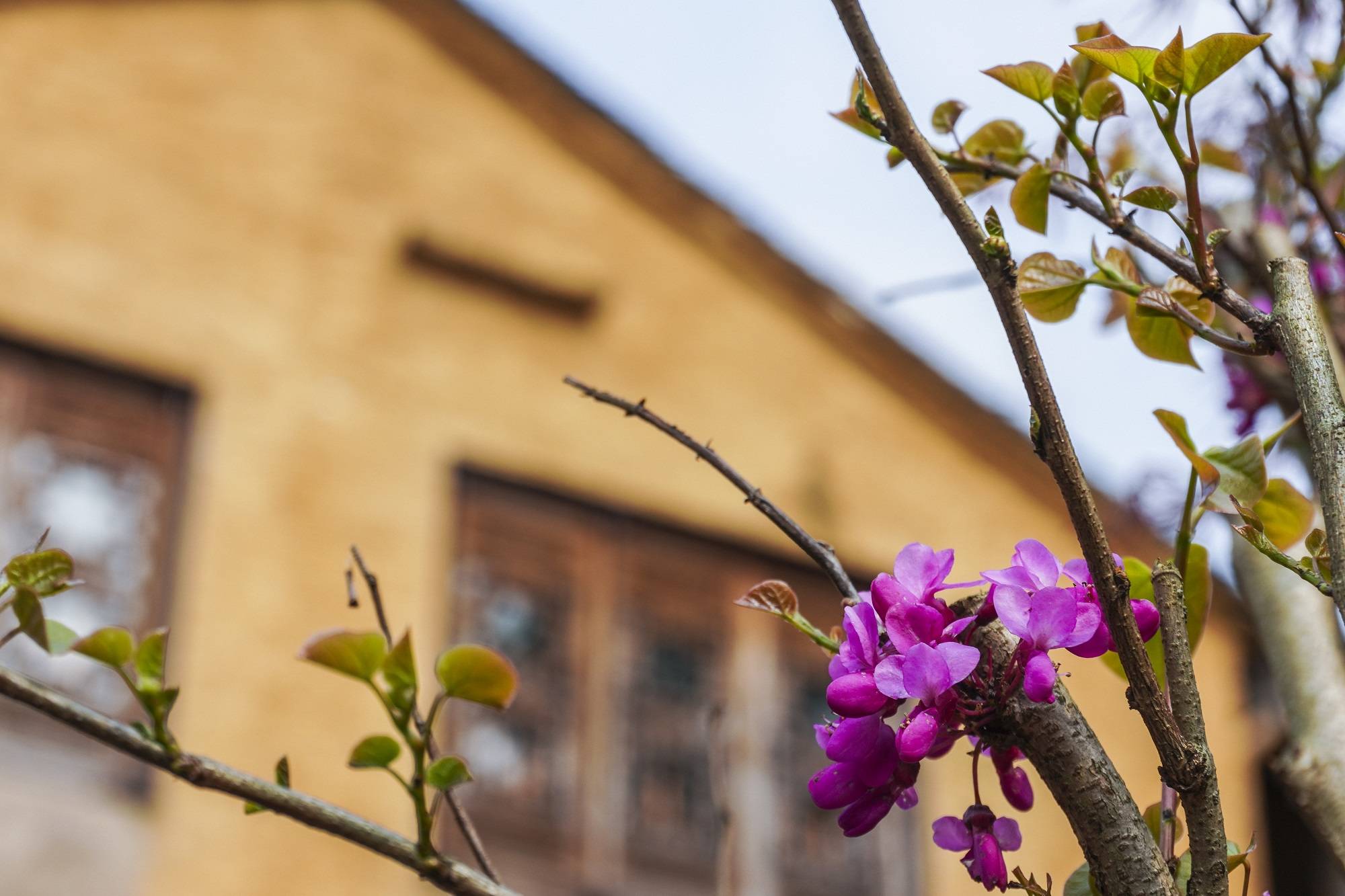 安徽深山中有座冷门古村,被誉为“梦乡村”,宛如世外桃源15