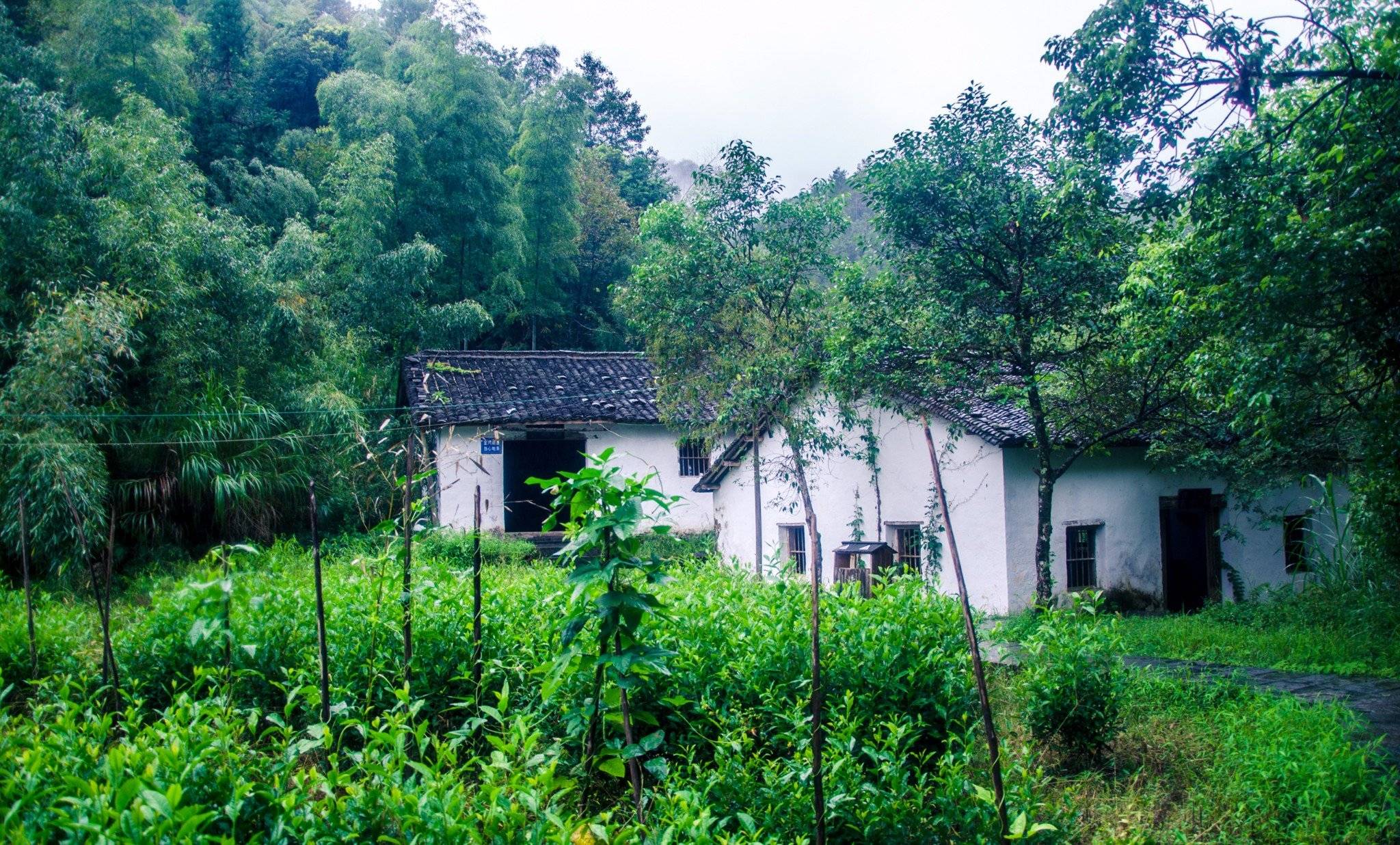 隐于安徽深山之中的百年古村,犹如世外桃源,至今鲜为人知2