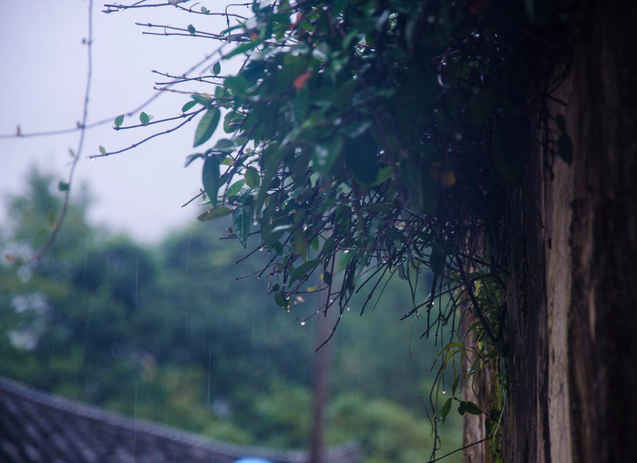 隐于安徽深山之中的百年古村,犹如世外桃源,至今鲜为人知6