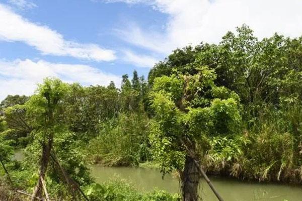 2022中山骑行路线推荐2