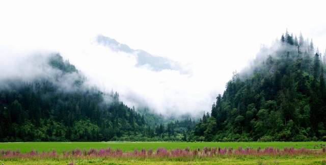 全球首列全景观光旅游列车来了!将在丽江投用,全程美景看个够9