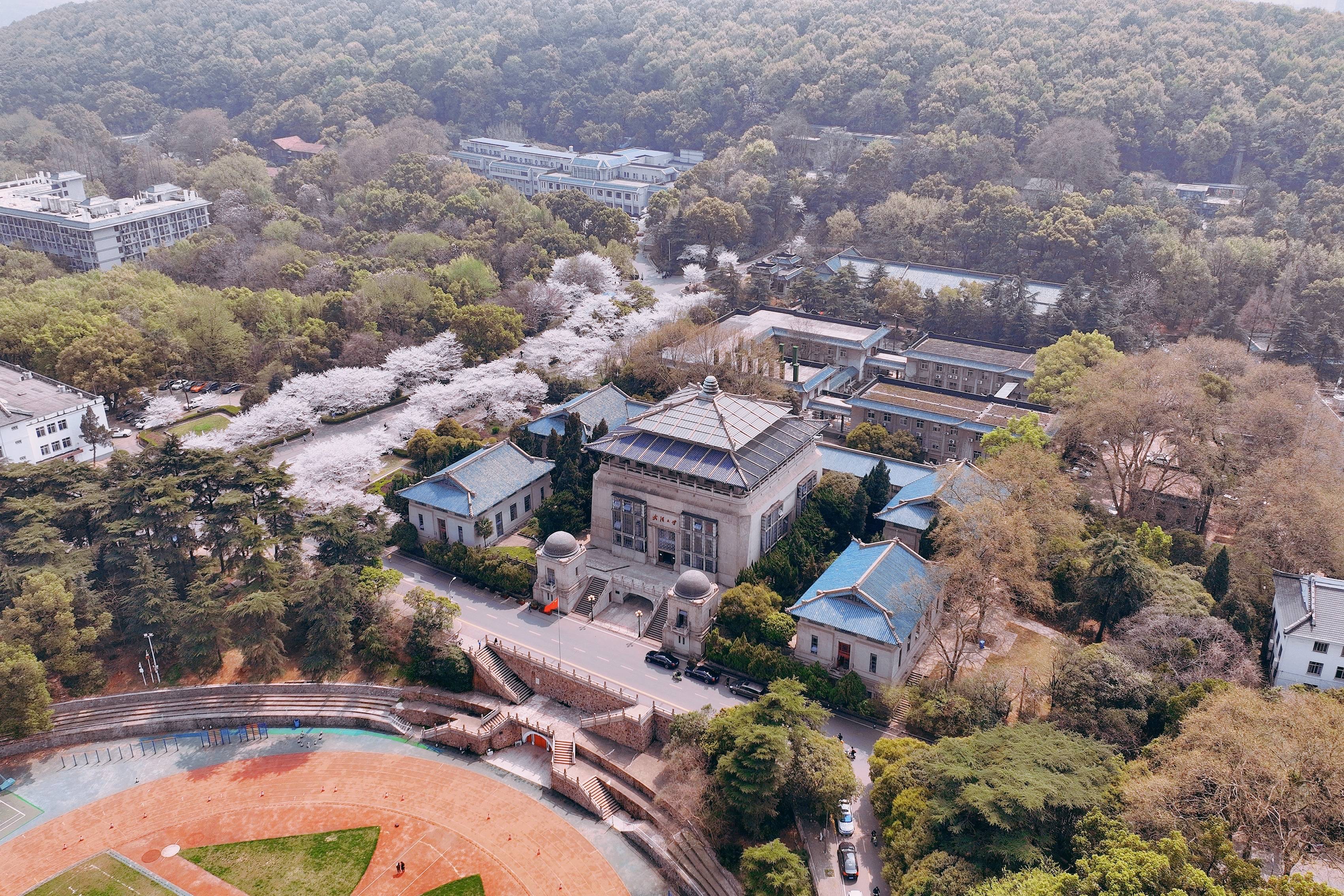 武汉大学樱花盛开，这座百年学府充满了静谧和唯美，宛如童话世界1