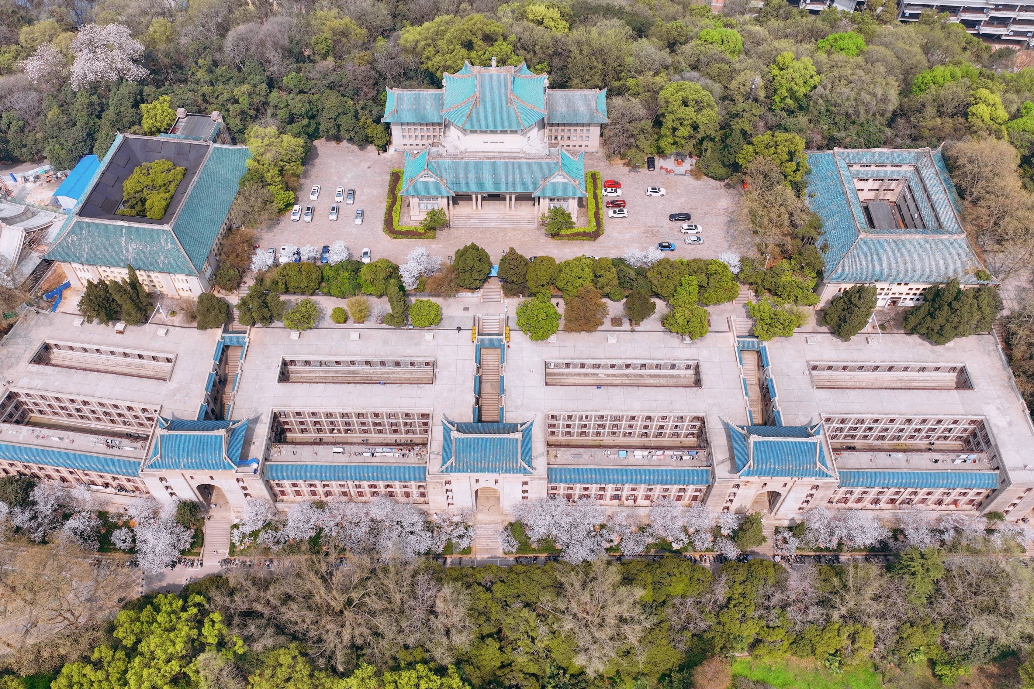 武汉大学樱花盛开，这座百年学府充满了静谧和唯美，宛如童话世界8