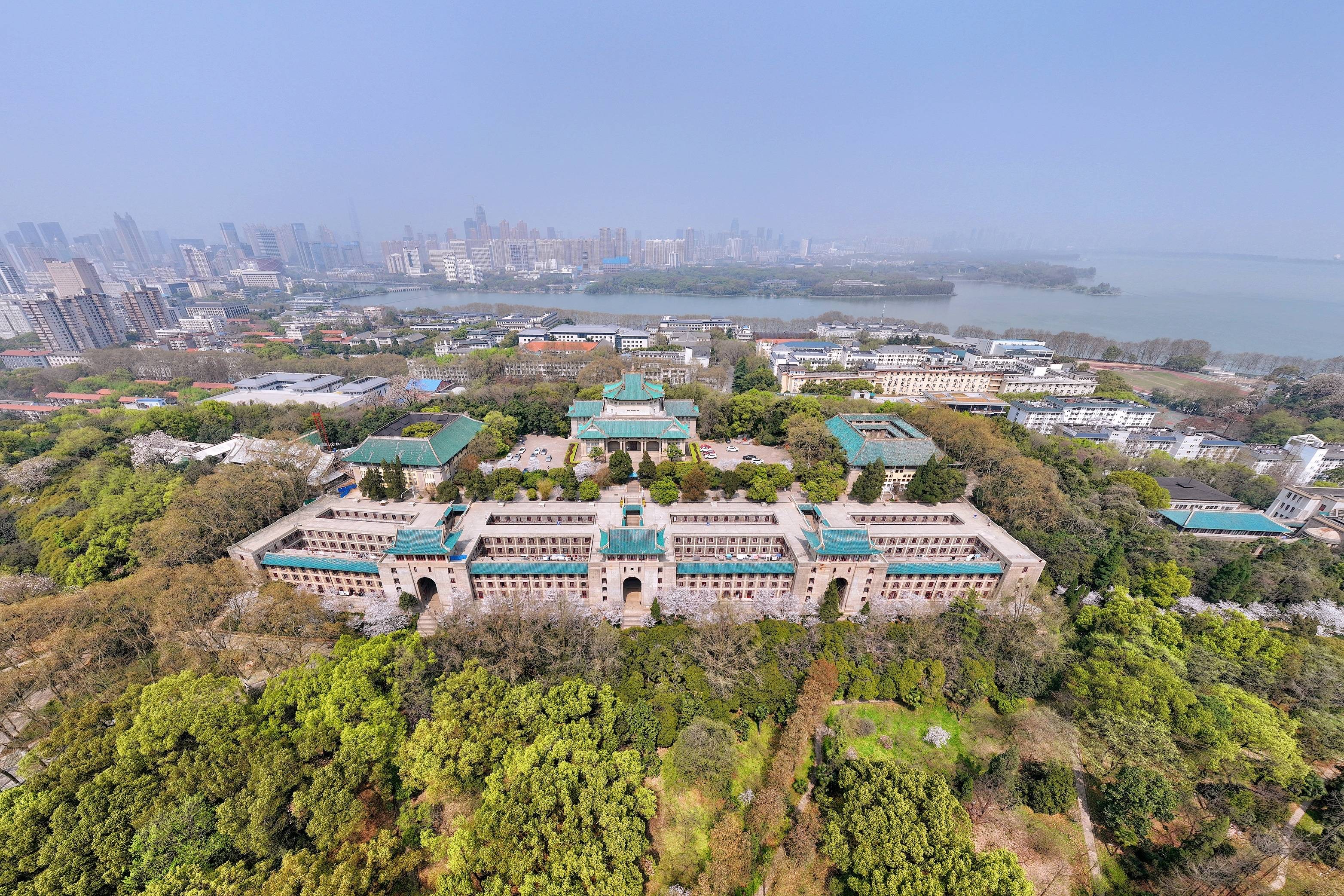 武汉大学樱花盛开，这座百年学府充满了静谧和唯美，宛如童话世界11