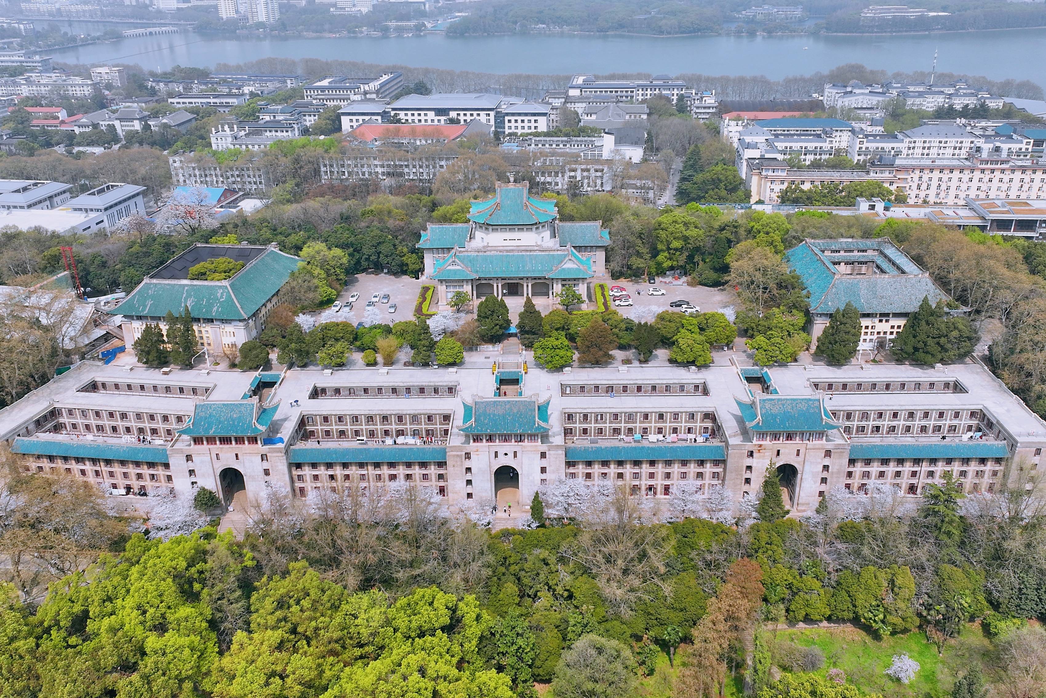 武汉大学樱花盛开，这座百年学府充满了静谧和唯美，宛如童话世界10