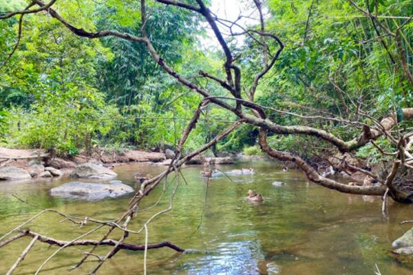 惠州自驾游避暑路线详细攻略2