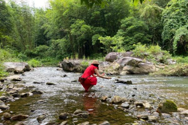 惠州自驾游避暑路线详细攻略3