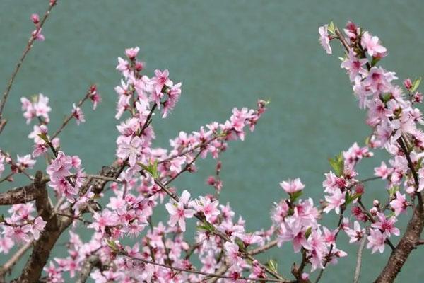 杭州周边自驾游旅游景点攻略3