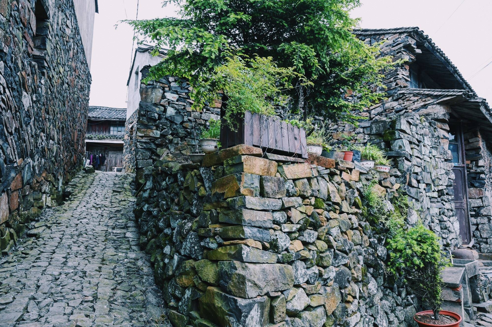 宁波石屋建筑规模最大的古村落，距今700多年，人少景美门票免费1