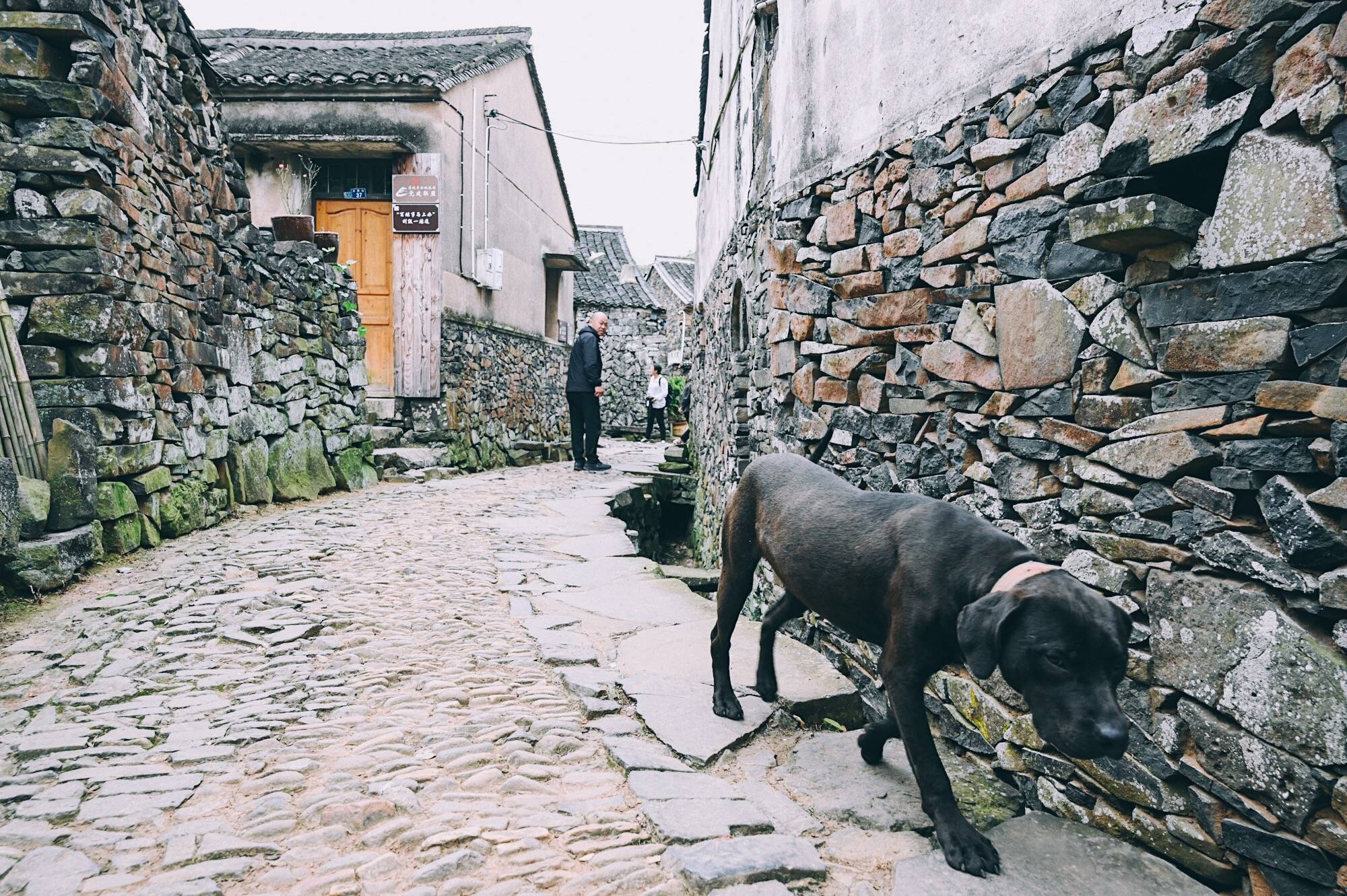 宁波石屋建筑规模最大的古村落，距今700多年，人少景美门票免费7