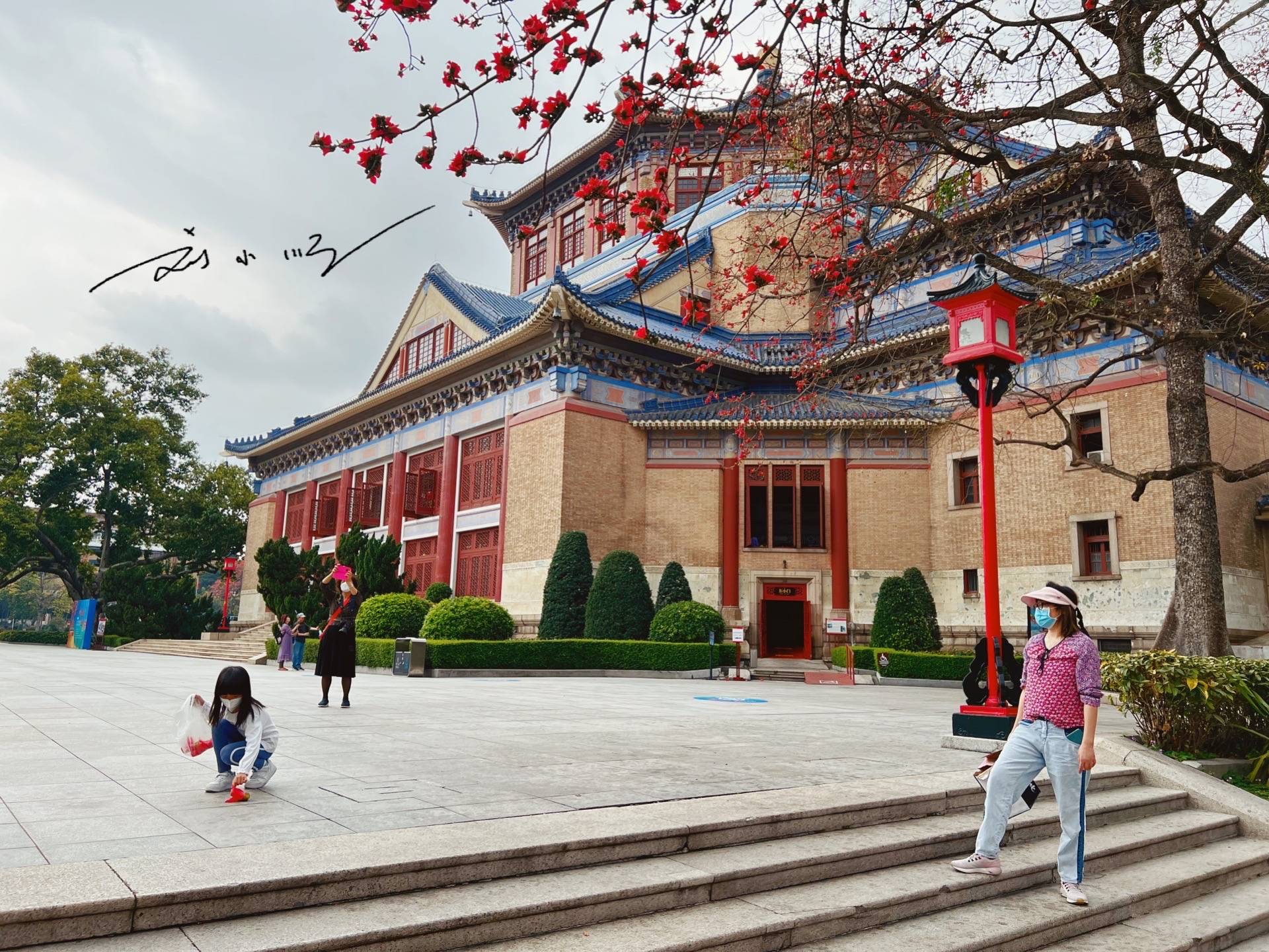 广州有一棵“木棉王”，已有350多岁，又被称为“中国最美木棉”11