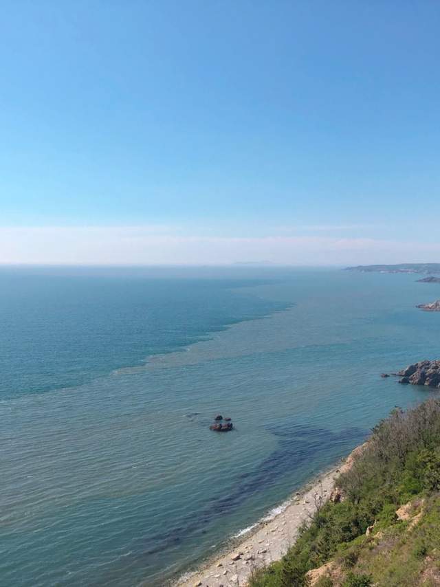 今年五一小长假能跨省旅游吗？张伯礼回应（附小众景点推荐）2