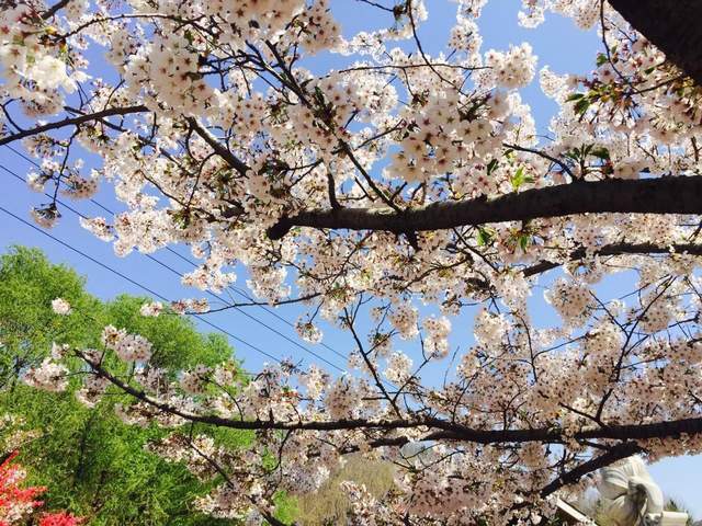 今年五一小长假能跨省旅游吗？张伯礼回应（附小众景点推荐）3