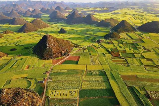 春季赏花地图火热出炉，另附老年人春季出游指南（转发收藏）2