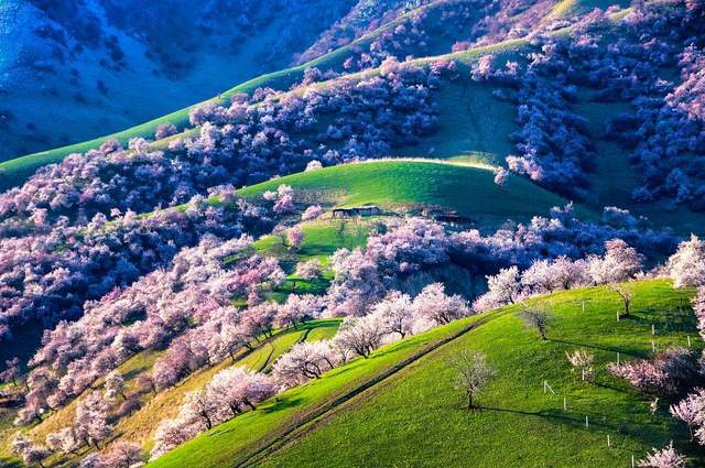 春季赏花地图火热出炉，另附老年人春季出游指南（转发收藏）10