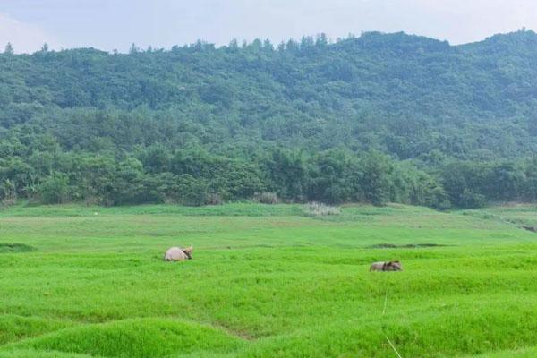 重庆周边自驾一日游 最佳小众景点推荐1