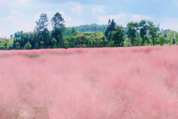 宜昌乡村自驾游路线推荐1