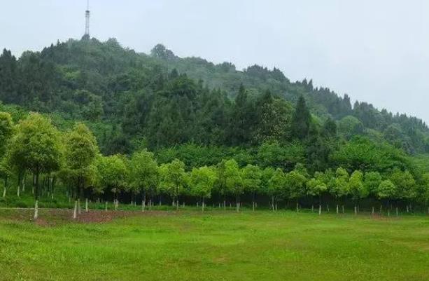 宜昌乡村自驾游路线推荐3