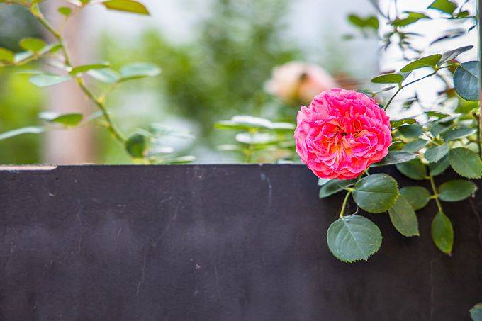 武汉东湖有一座大李文创村,环境优美,风景秀丽,充满了文艺气息4