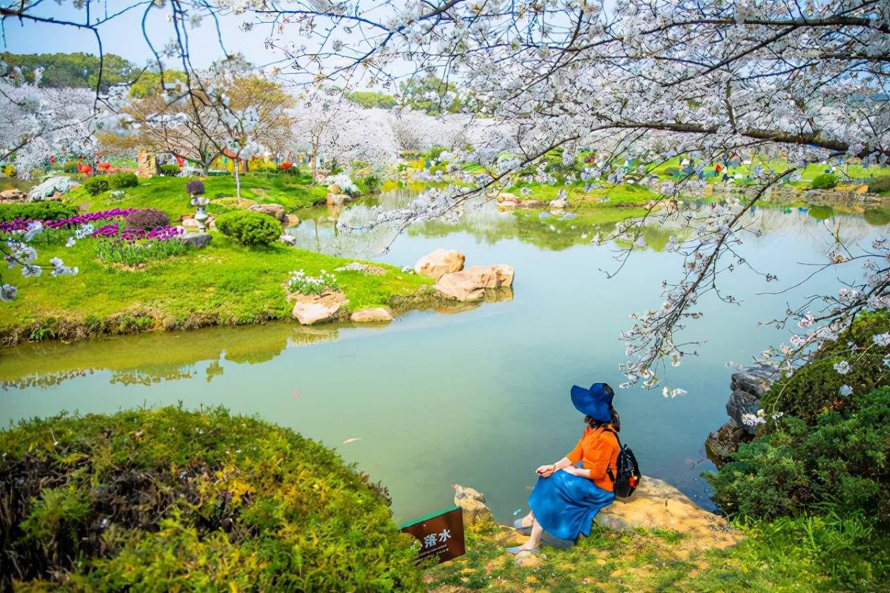 武汉东湖樱花园，此时樱花盛开，如梦似幻，让我们赴一场繁华盛宴8