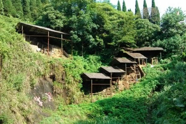 铜陵一日游适合去哪里3