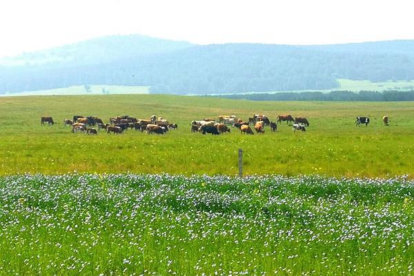 御道口旅游攻略 去御道口草原怎么走1