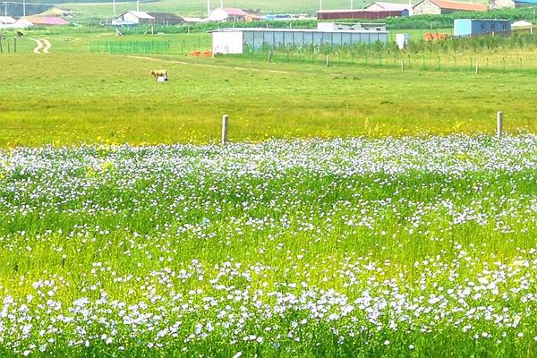 御道口旅游攻略 去御道口草原怎么走3
