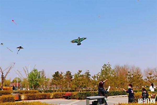 南海子公园露营区介绍 附游玩攻略3