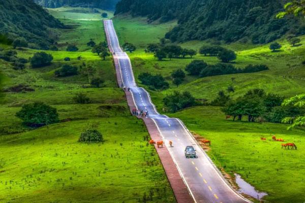 2022武隆仙女山门票多少钱一张 附游玩项目门票价格1