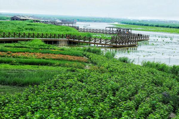 天津附近自驾游去哪最好玩1