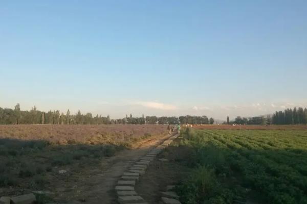 新疆适合露营的地方 露营绝美景点推荐1