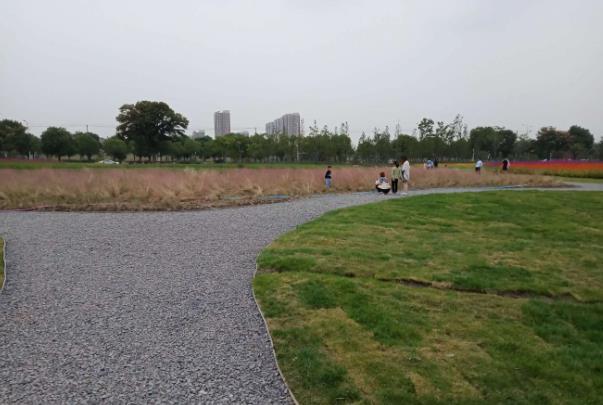 无锡适合露营的地方 露营地点推荐3