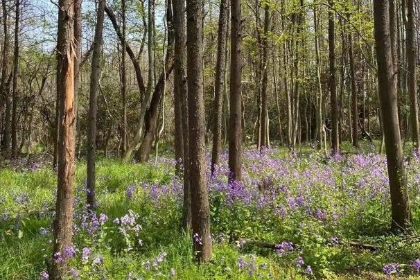 深圳徒步路线推荐20222