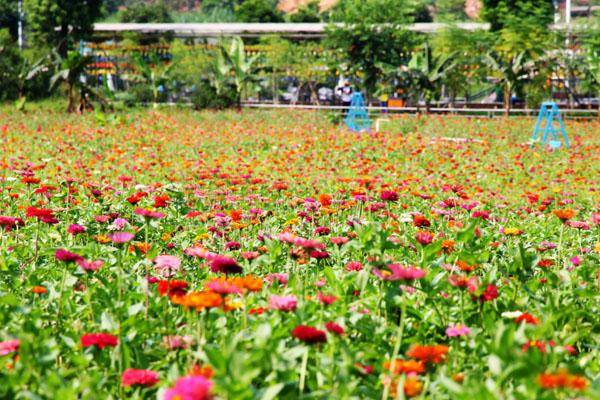 佛山高明哪里可以露营 附详细地址2