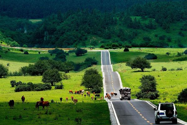 重庆仙女山游玩攻略 景点一日游攻略2