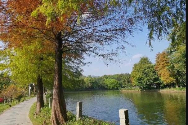 深圳免费爬山的地方 有哪些免费的山可以爬3