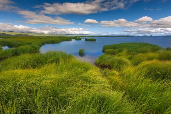 若尔盖花湖最佳旅游时间 附门票价格1