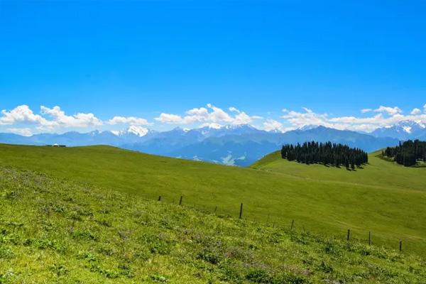 2022新疆露营地点推荐2