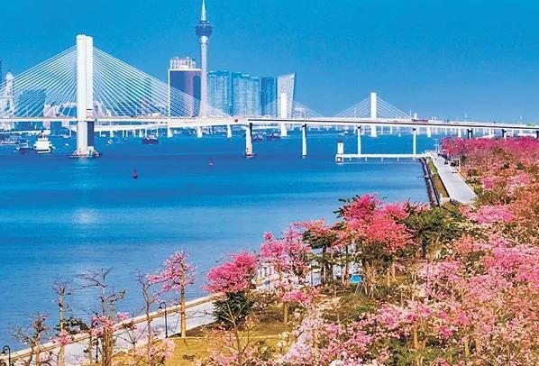 珠海哪里有野外露营的地方 露营地点推荐3