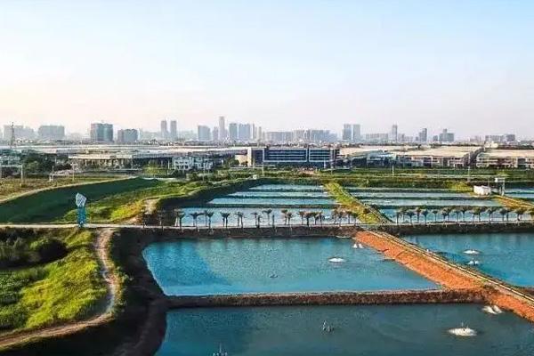 佛山露营十大圣地推荐3