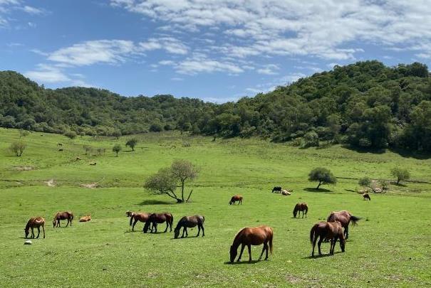 西安适合露营的地方 去哪里露营比较好3