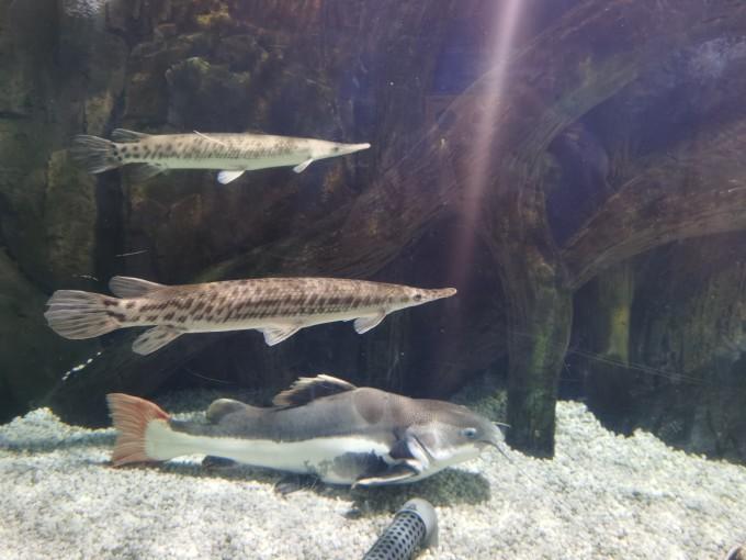 武汉东湖海洋世界一日游游记3