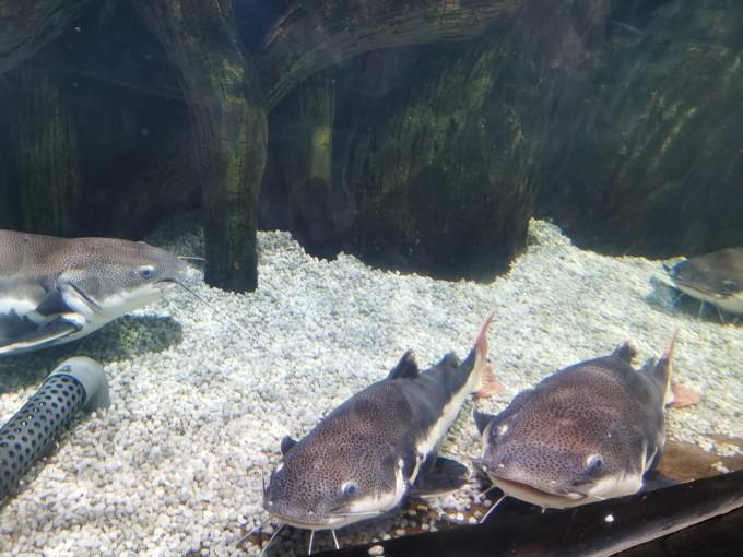 武汉东湖海洋世界一日游游记4