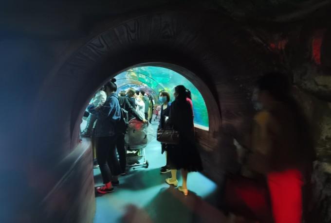 武汉东湖海洋世界一日游游记7