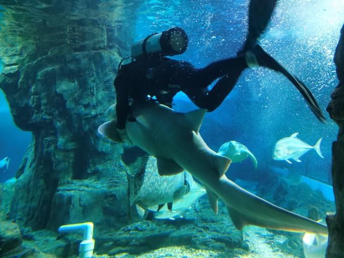 武汉东湖海洋世界一日游游记9