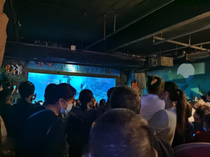 武汉东湖海洋世界一日游游记12