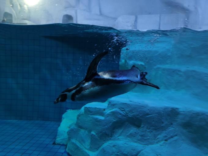 武汉东湖海洋世界一日游游记14