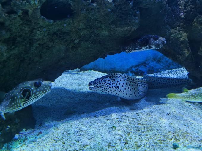 武汉东湖海洋世界一日游游记24